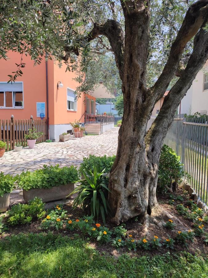 Albergo Villa Mimosa توربولي المظهر الخارجي الصورة