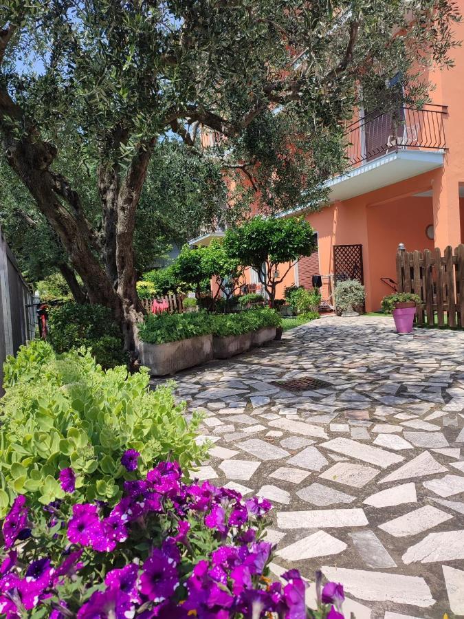 Albergo Villa Mimosa توربولي المظهر الخارجي الصورة