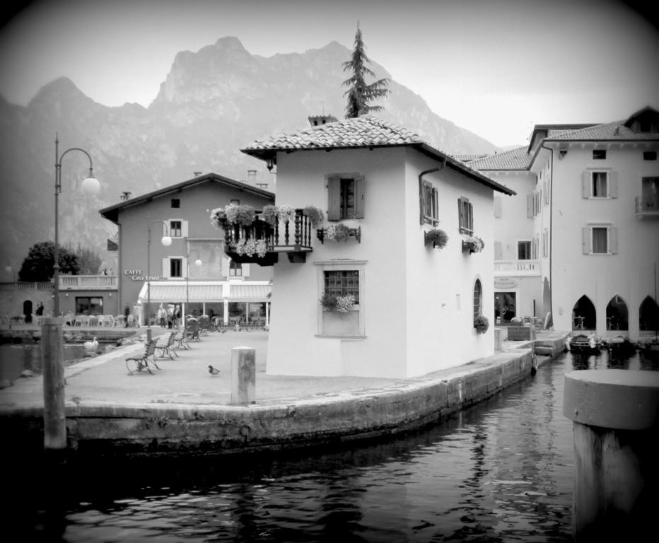 Albergo Villa Mimosa توربولي المظهر الخارجي الصورة